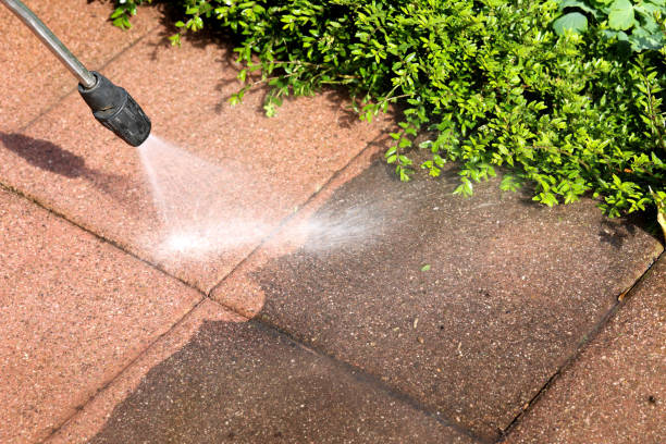 Best Concrete Pressure Washing  in Kenton, TN