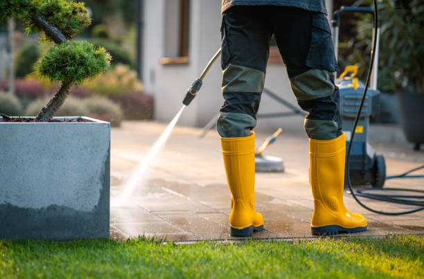 Best Pressure Washing Company Near Me  in Kenton, TN